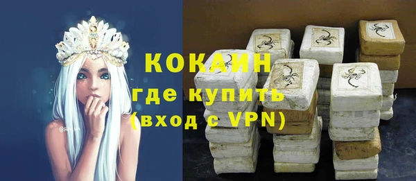 спайс Арсеньев