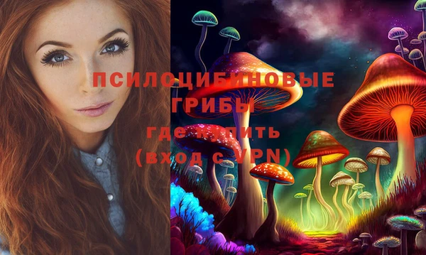 спайс Арсеньев