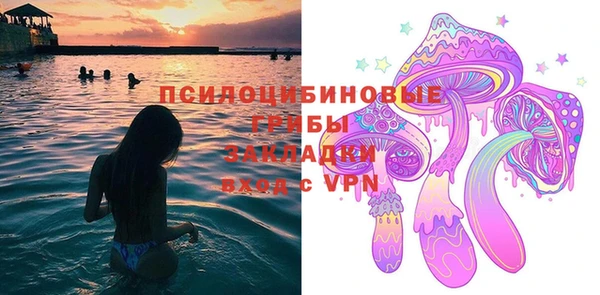 крисы Аркадак