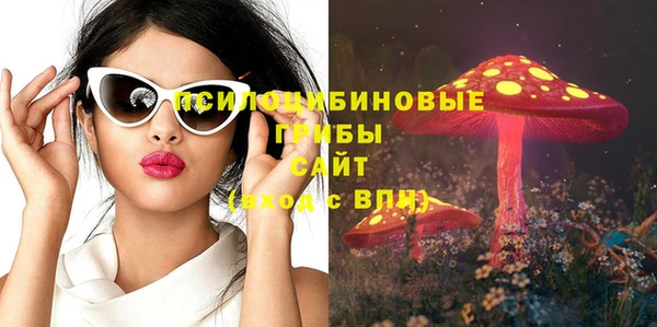 крисы Аркадак