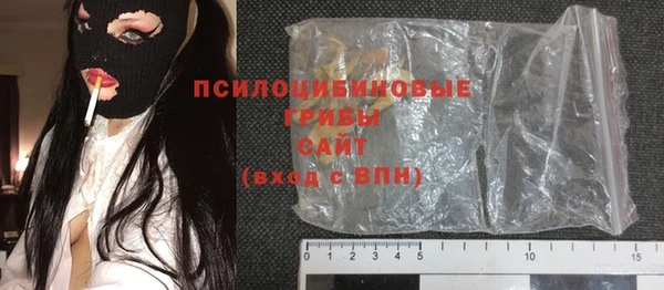 крисы Аркадак
